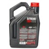 Eļļa, laivas motoram, 2-taktu, MOTUL, 5 Litr.